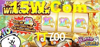 TT700